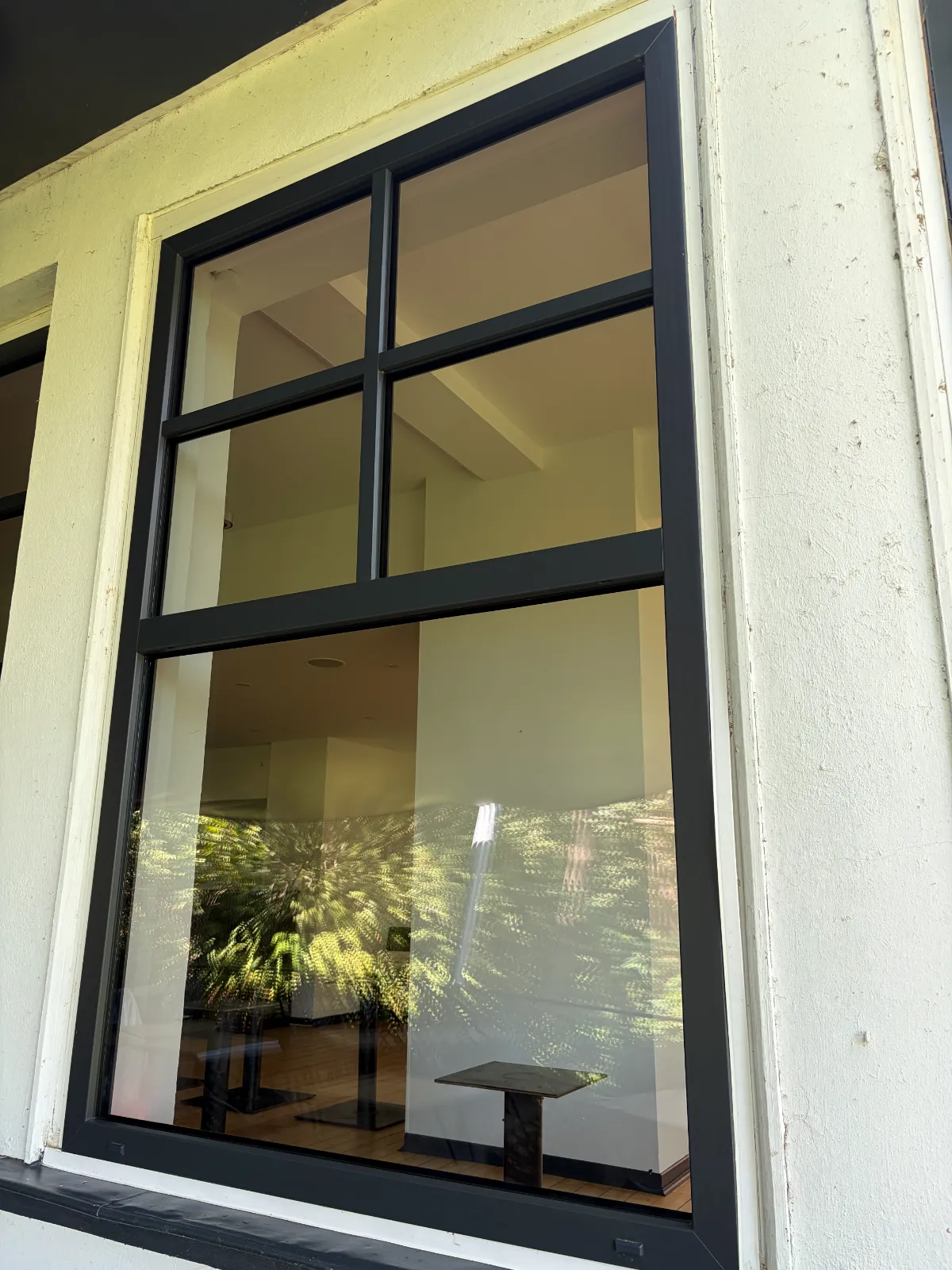 Fensterfront nach der Reinigung durch SoRein